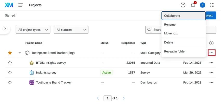 Three dot menu next to projects
