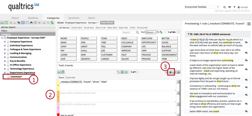 Select a category and highlights the preview all rules button