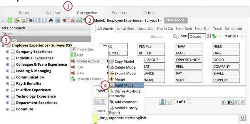 Audit model highlighted from the model actions menu