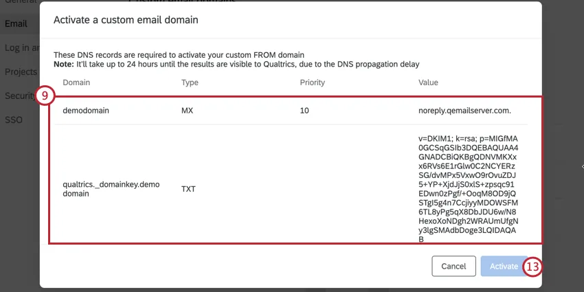 copiar la información del registro DNS