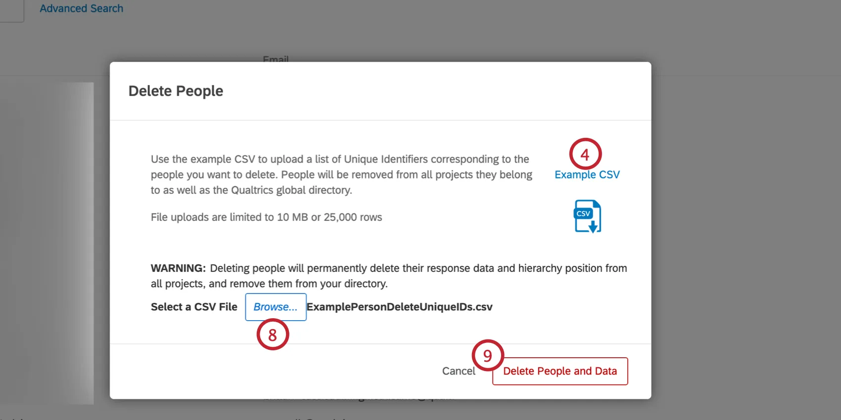Subir un archivo para eliminar participantes