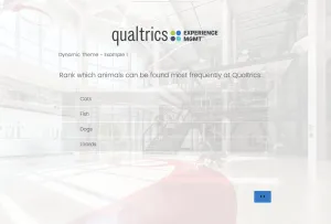 Dynamic Theme Example 1