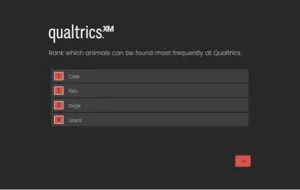 Exemplo de Tema dinâmico 2