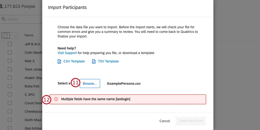 La pantalla de importación con un error que muestra una fila duplicar en el archivo