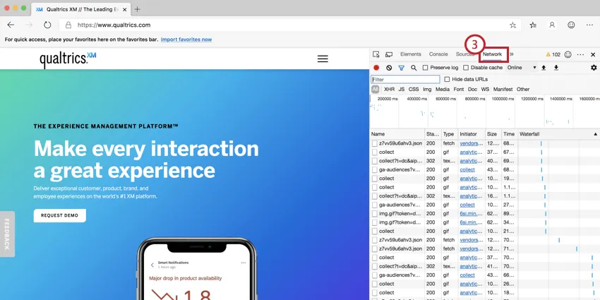 Bild der Netzwerkregisterkarte in Microsoft Edge