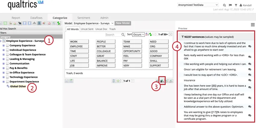 Highlights uncategorized data that is shown in the preview pane