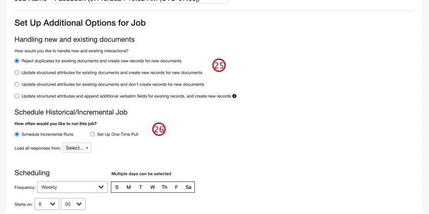 duplicate handling options, with schedule historical job options