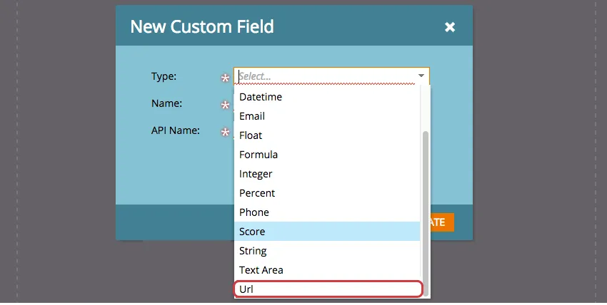 Select URL from Type dropdown