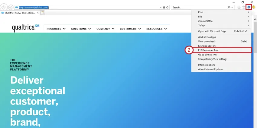 Bild der Werkzeuge im Internet Explorer