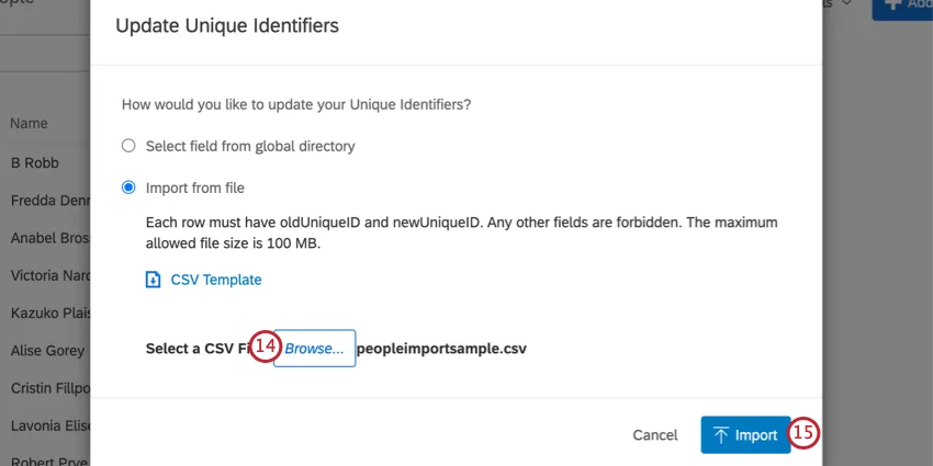 na tela de atualização de identificadores exclusivos, clique no botão do navegador para carregar um arquivo e depois em importar para importá-lo