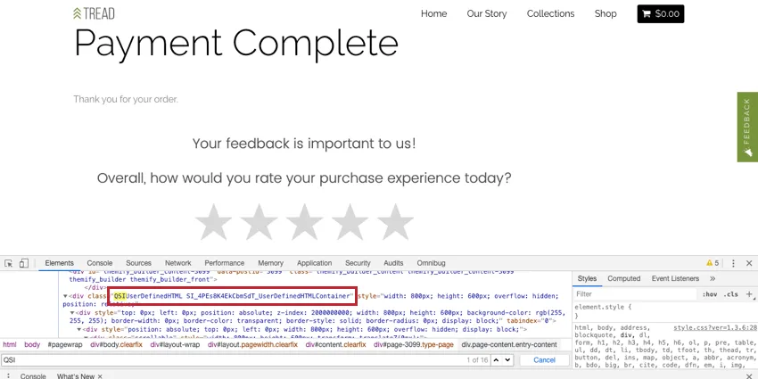image of finding the QSI when inspecting the page