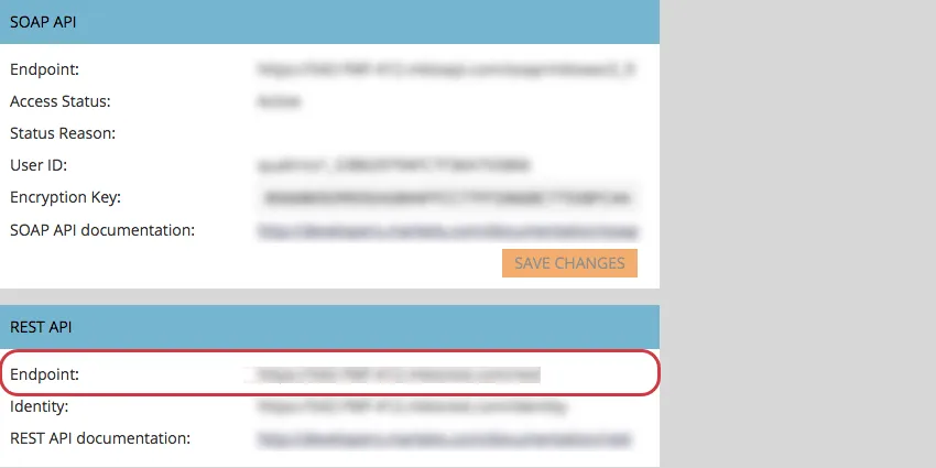 Find Endpoint under Rest API