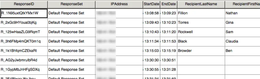 image of respondent data in SPSS
