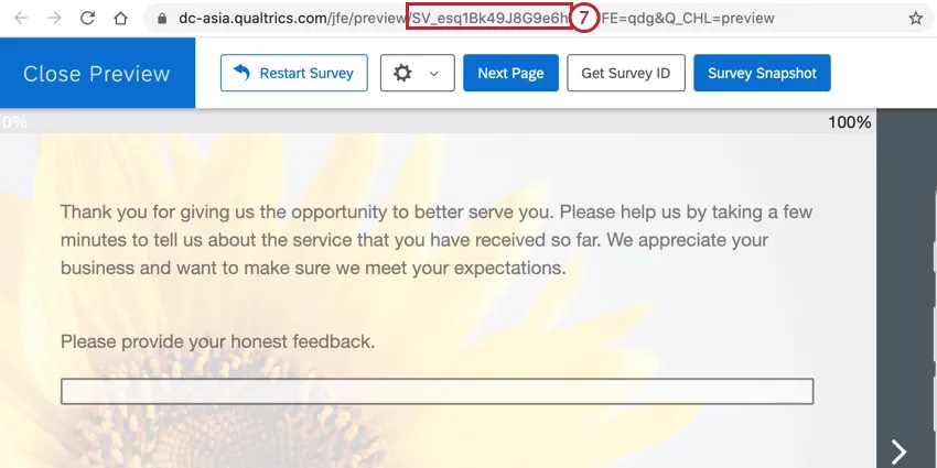 uma pesquisa sendo visualizada. No URL da página, o ID pesquisa está visível e começa com SV_