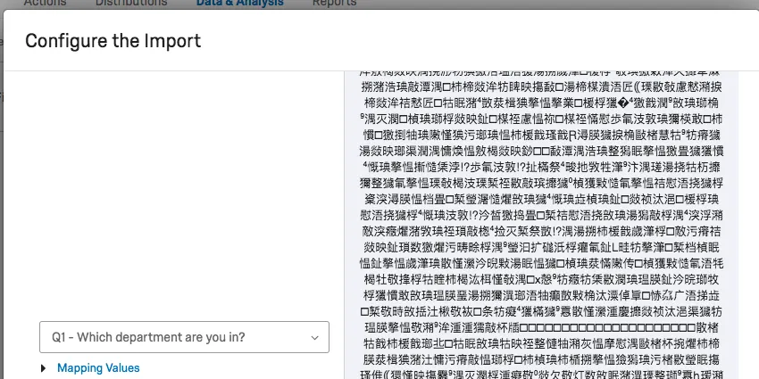 誤って設定されたファイルのインポータープレビューの画像