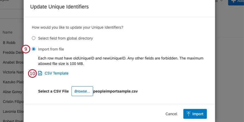 Pantalla de actualización de identificadores únicos. Haga clic en Importar desde archivo y luego descargue la plantilla CSV.