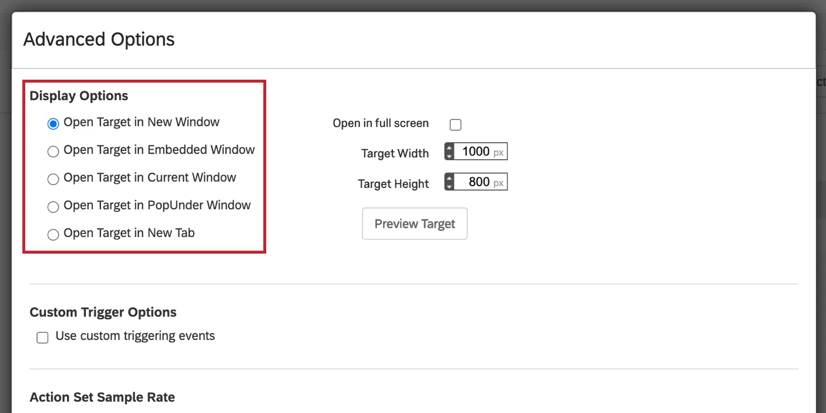 image of the open target in new window selection for display options.