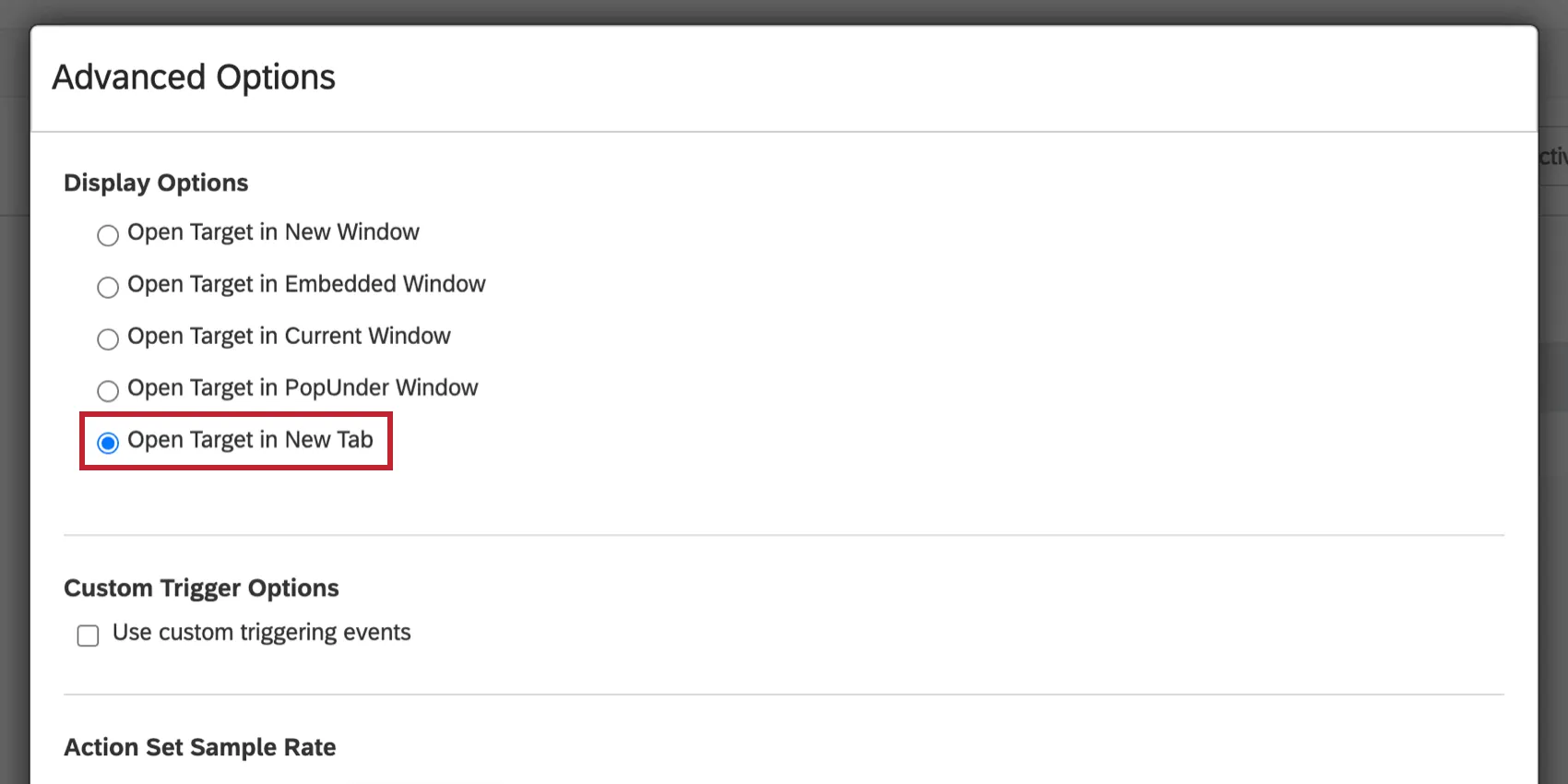 image of the Open Target in New Tab selection for Display Options