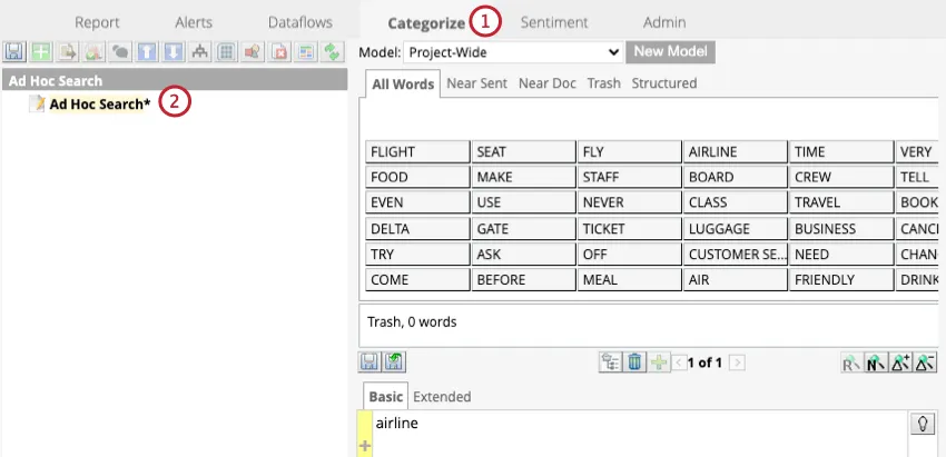 Sección de búsqueda ad hoc dentro de la pestaña de categorización