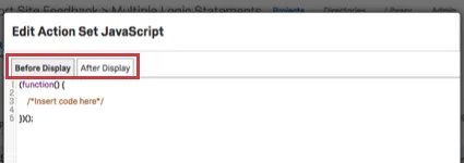 Edit Action Set JavaScript window with Before display and After Display above where you place the code