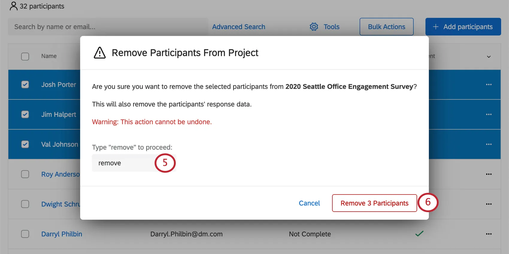 Window remove participants from project opens over the participants tab and has a field for typing "remove"