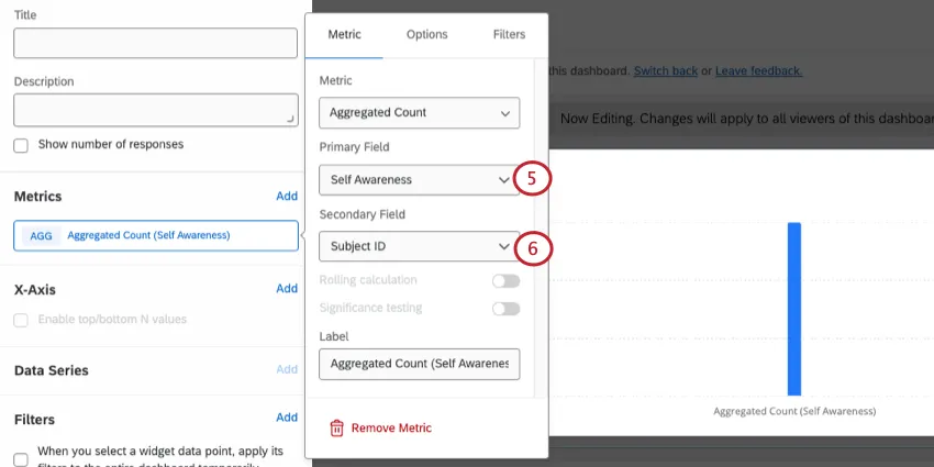 choosing primary and secondary fields for the metric