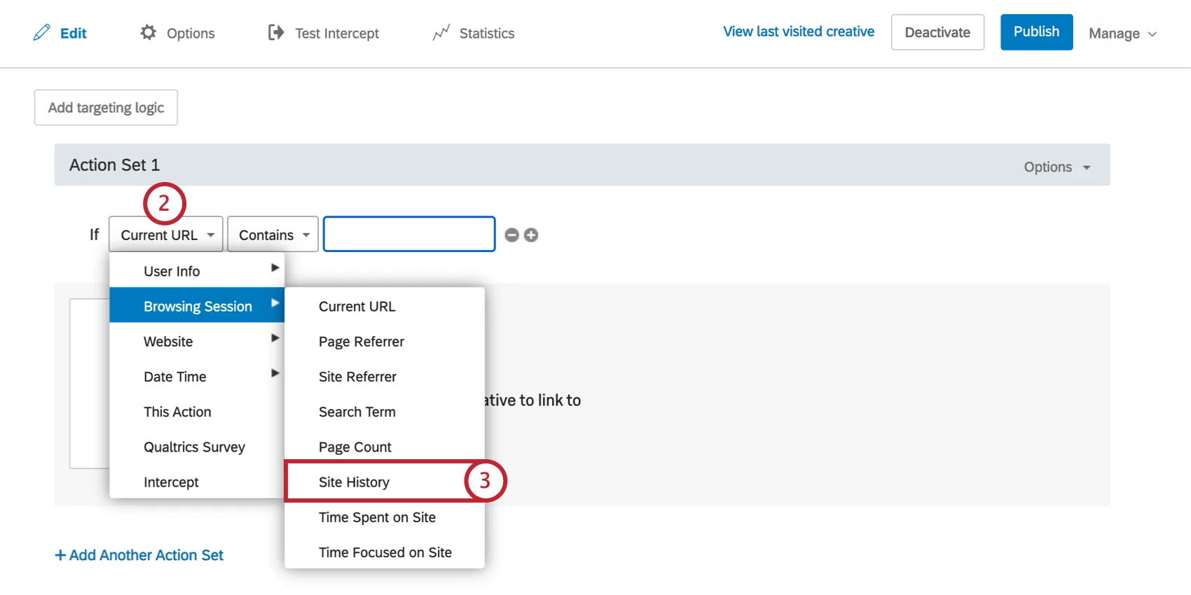 Browsing Session Site History