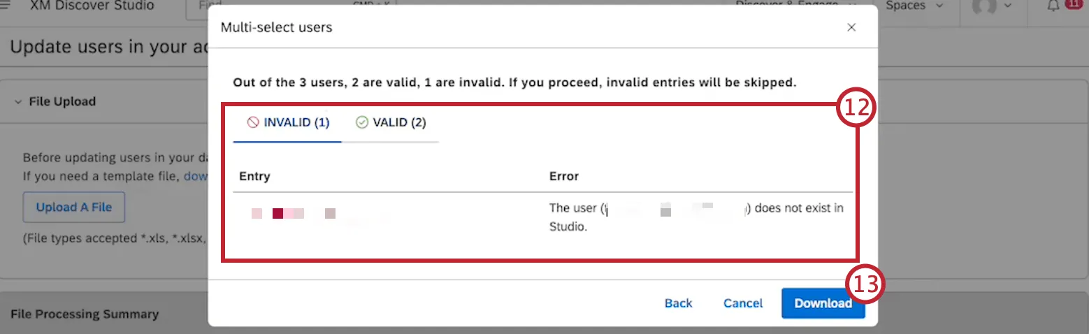 reviewing valid and invalid entries