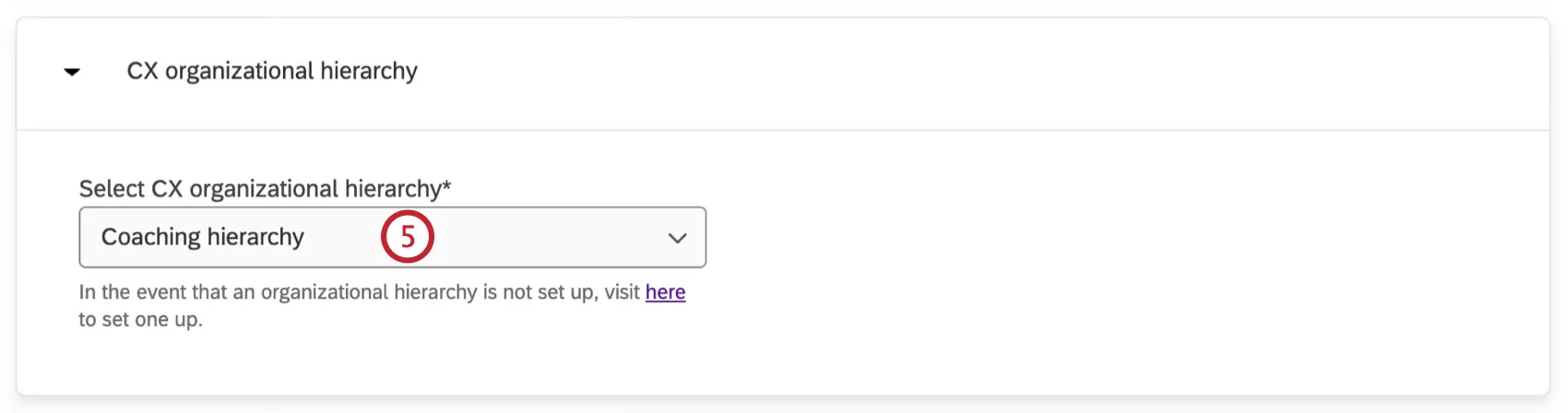 コーチング推奨プロジェクトのためのCX組織階層の構成