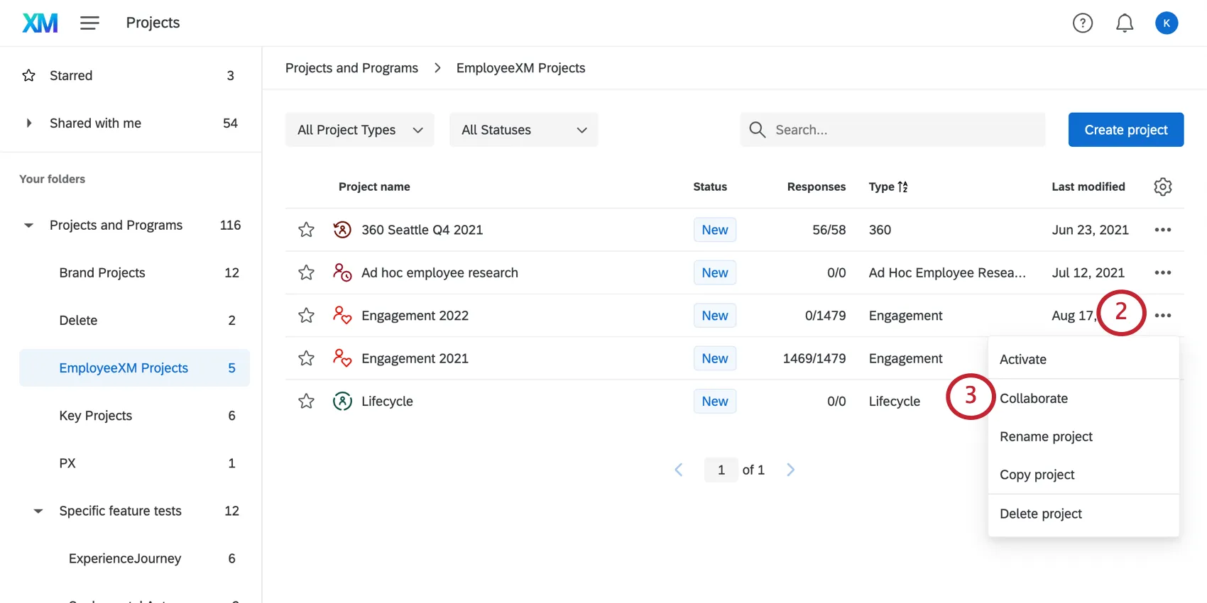 On the Projects page, the dropdown next to a project shows the collaborate option
