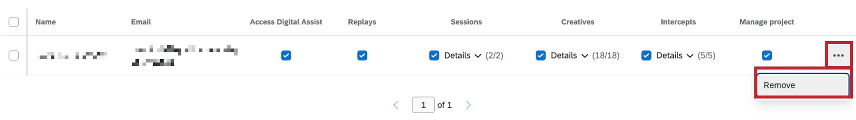 A Project User. On the far-right the 3 dots are selected and "Remove" is highlighted