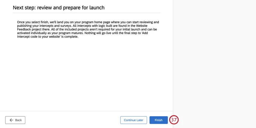 Finish button in blue, bottom-right of setup assistant