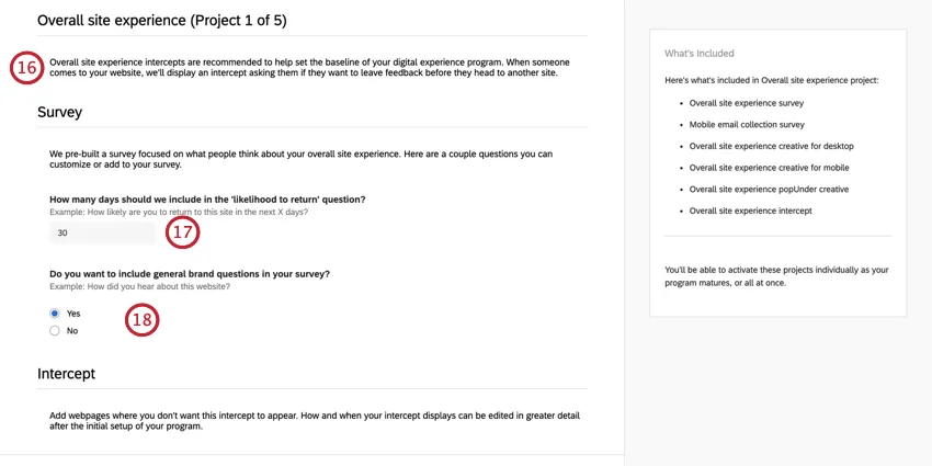 Section named "Survey" since this is where you set survey details for overall site experience