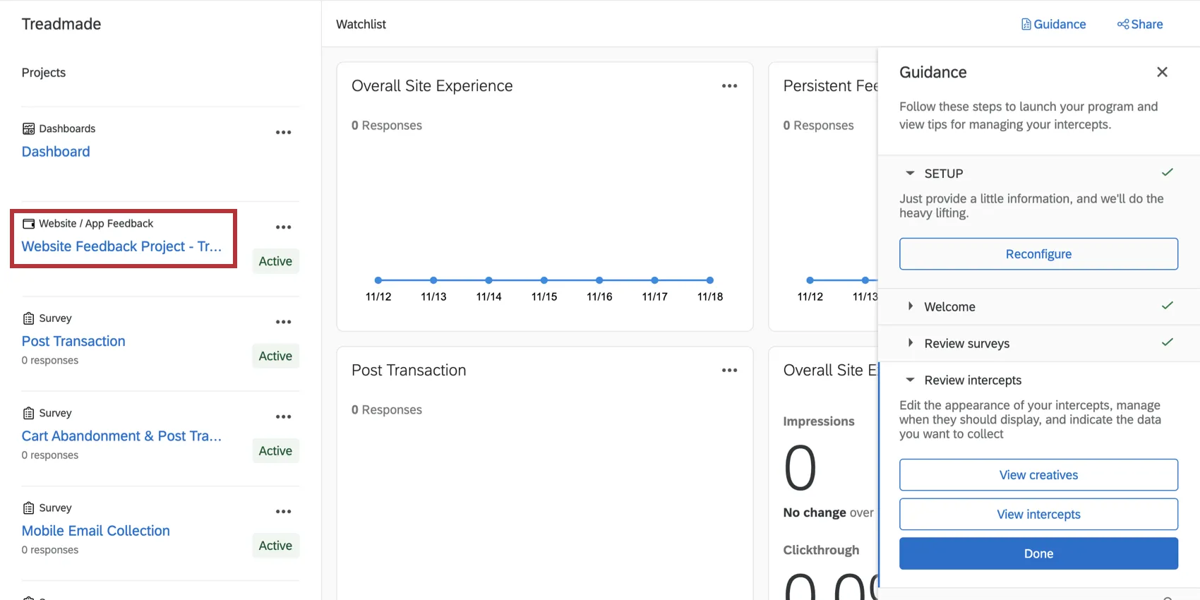 Website feedback project in the program