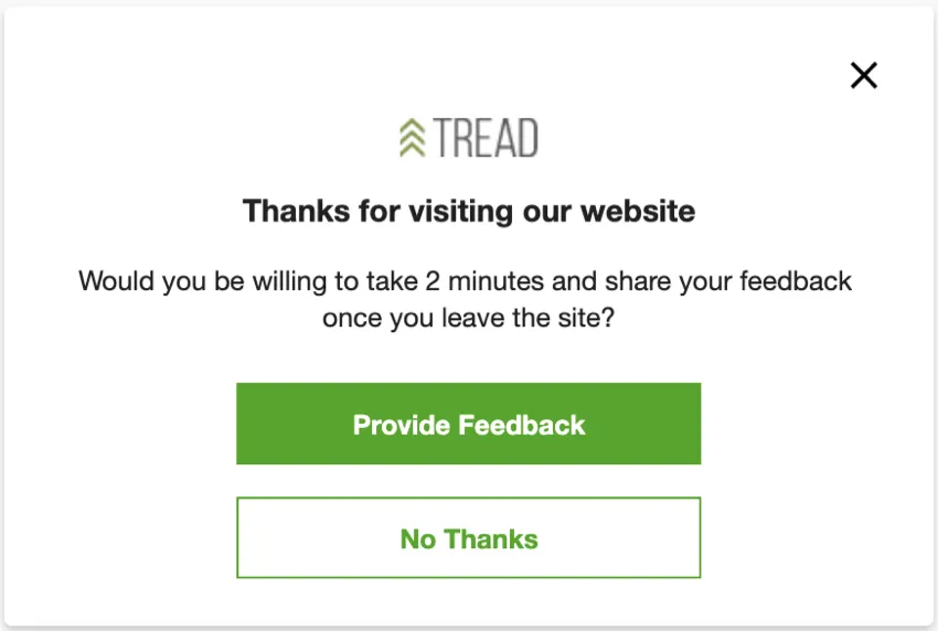 A window with a logo and a message thanking visitors for visiting, then showing two buttons, one for providing feedback, and one for closing the window
