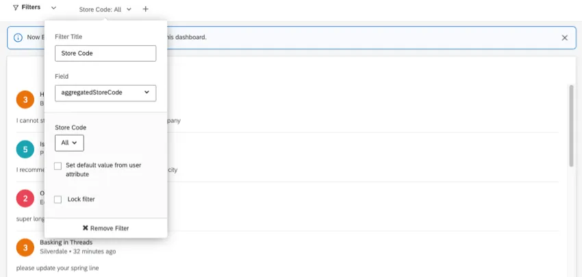 what the store code filter looks like in a dashboard in editing mode