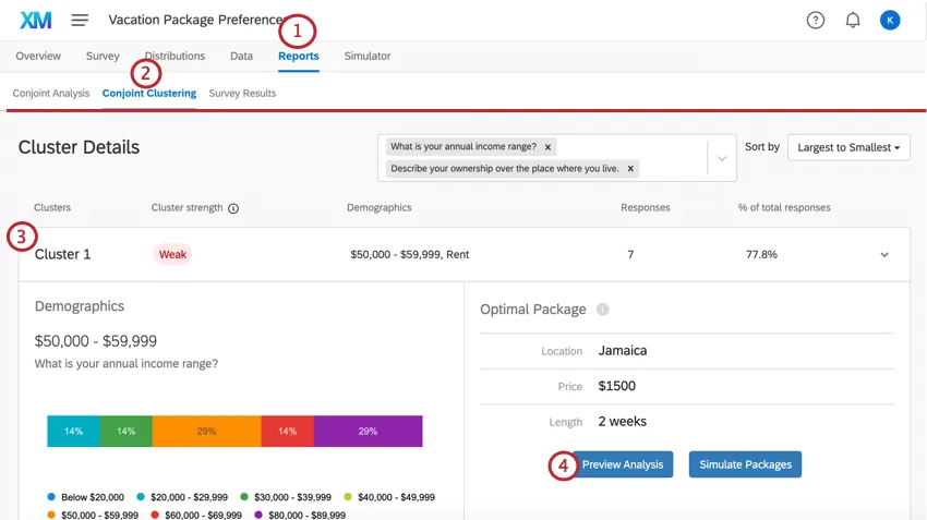 the conjoint clustering tab for previewing an analysis