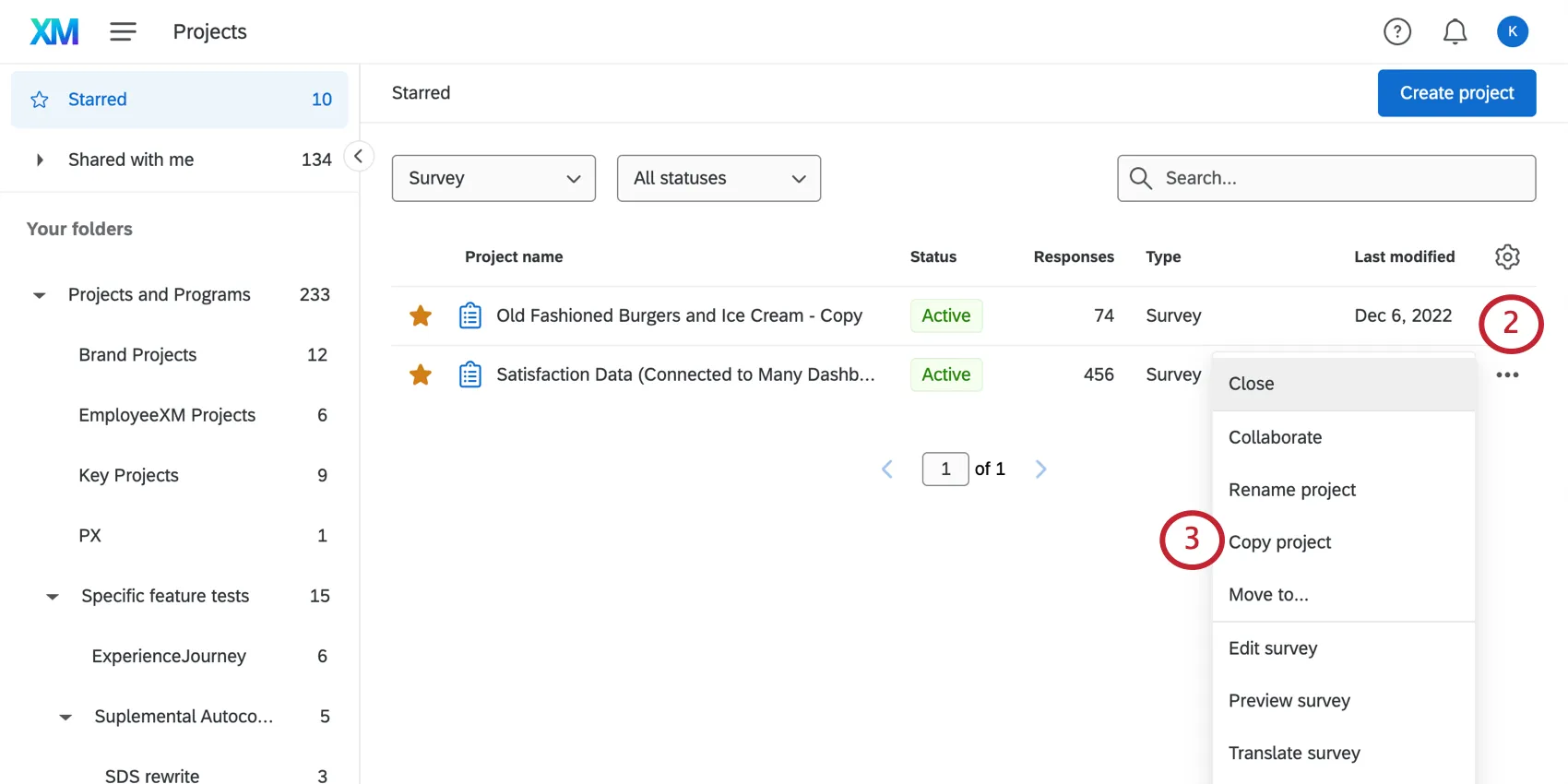 Dropdown next to a project expanded