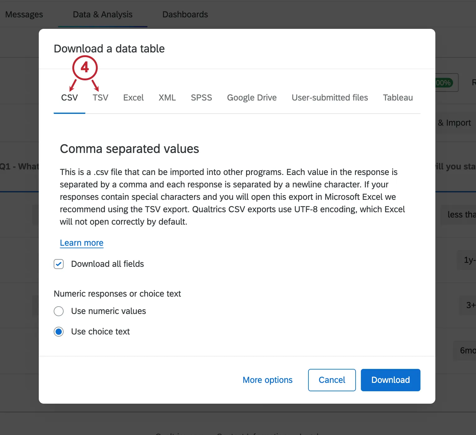 CSV selected from the list of export formats along the top of the exporter. More Options highlighted on bottom-left