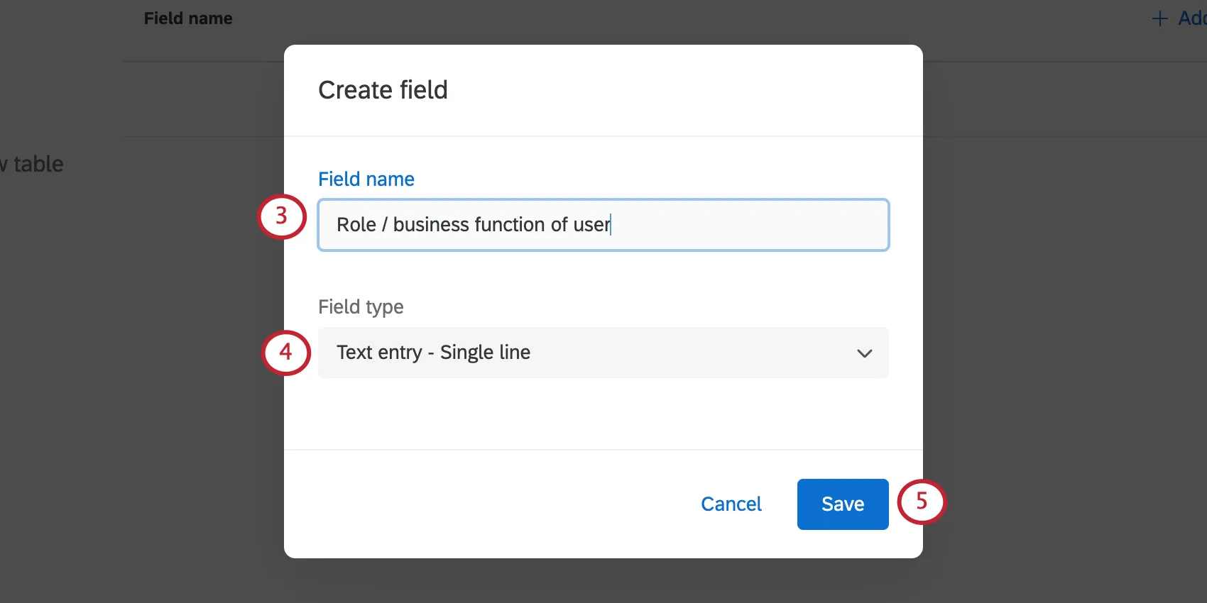 choosing the field name and the field type for a new custom field