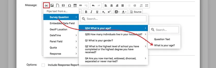 Texte inséré menu ouvert à la sélection pour lâge