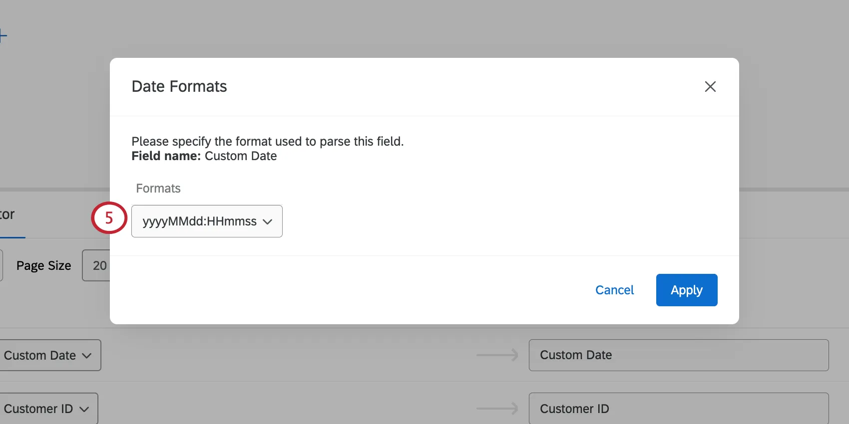 New window where you select a format