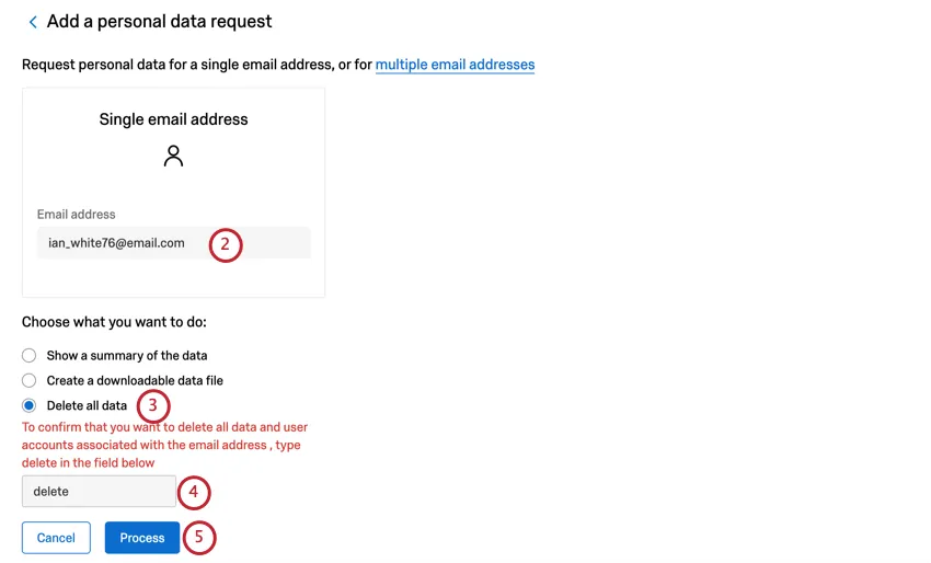 Una grande casella in cui è possibile digitare un indirizzo e-mail. Sotto, a scelta multipla, la prima opzione è quella di mostrare un riepilogo. Poi un campo in cui viene chiesto di digitare "cancella". Poi due pulsanti. Il pulsante blu del processo è il secondo.