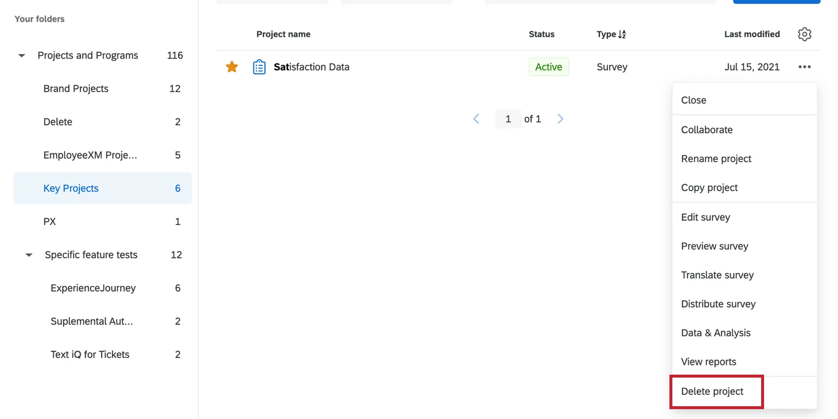 Dropdown expanded next to project, delete project at bottom selected