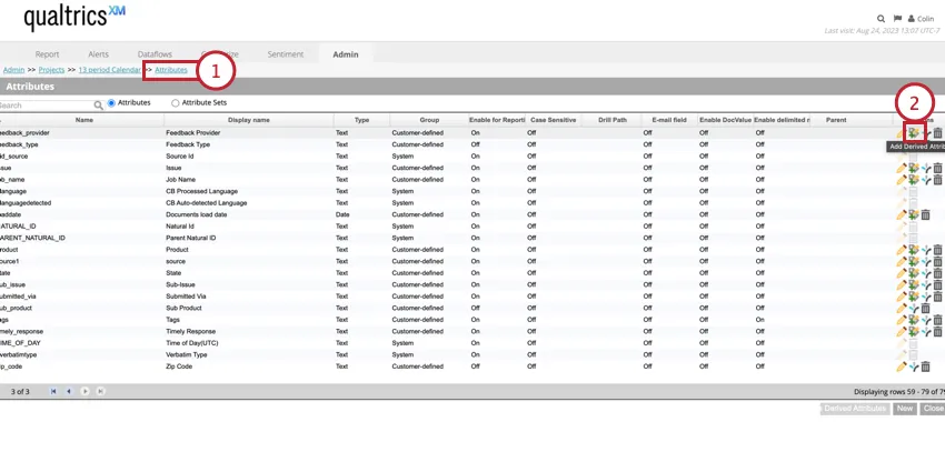 clicking add derived attribute in the attributes tab