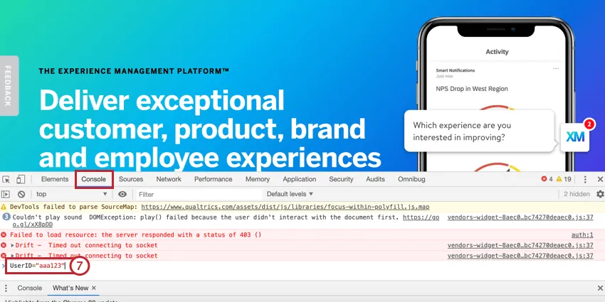 entering the userID in the console tab of the website the intercept is on
