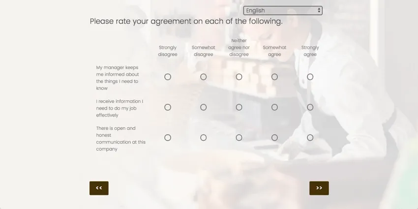 A matrix table asking respondents to rate their agreement. Along the left are statements, and along the top are scale points from strongly disagree to agree, and on each row you have to fill in a bubble for your agreement