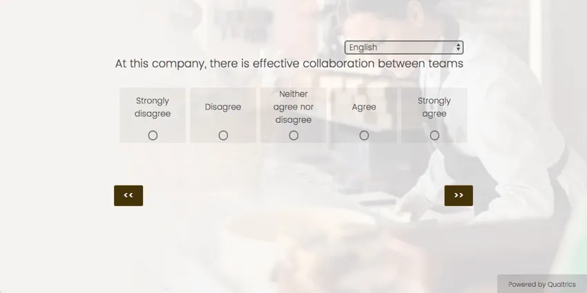 At this company, there is effective collaboration between teams. Then below this text is a scale from strongly disagree to strongly agree where you can fill in the bubbles