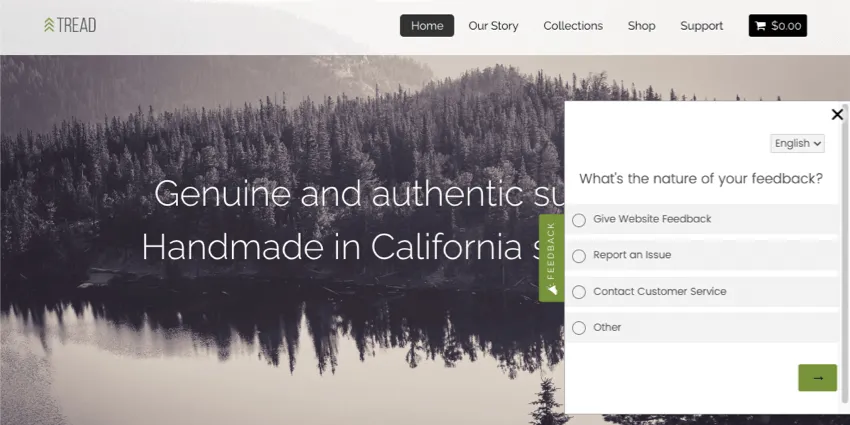 image of a website with an open feedback slider, showing the embedded survey