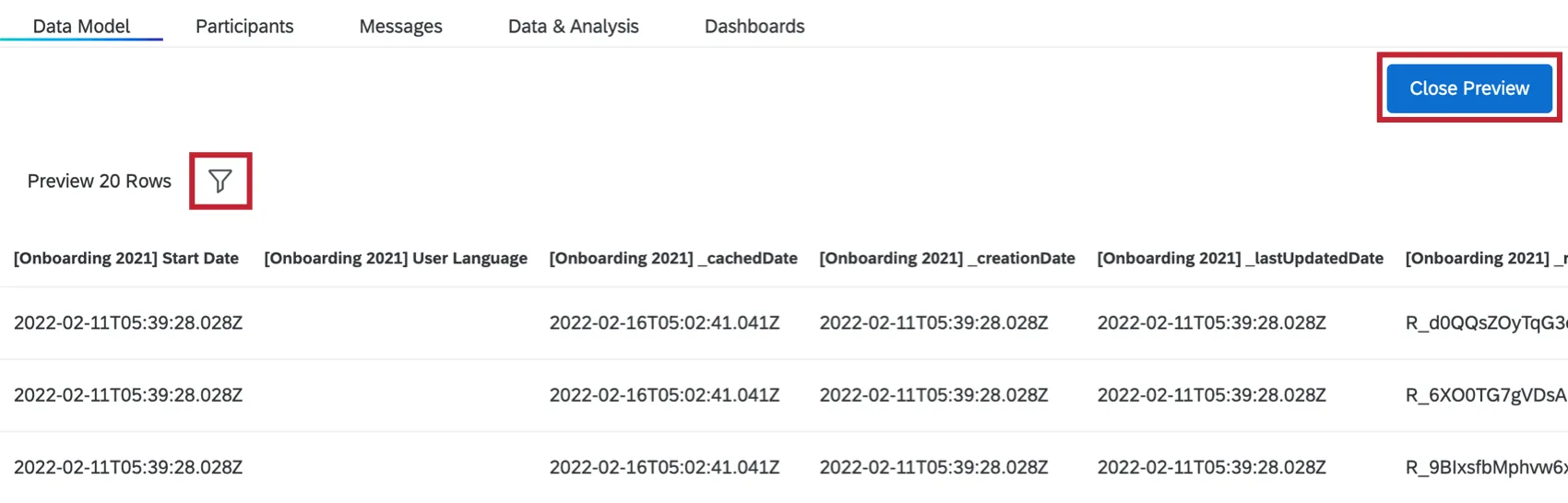 viewing a preview of your output dataset